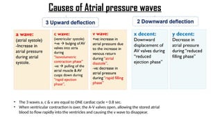 Causes of Atrial pressure waves
• The 3 waves a, c & v are equal to ONE cardiac cycle = 0.8 sec.
• When ventricular contraction is over, the A-V valves open, allowing the stored atrial
blood to flow rapidly into the ventricles and causing the v wave to disappear.
 