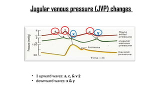 Jugular venous pressure (JVP) changes
• 3 upward waves: a, c, & v 2
• downward waves: x & y
 