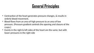 • Contraction of the heart generates pressure changes, & results in
orderly blood movement.
• Blood flows from an area of high pressure to an area of low
pressure. (Pressure gradient controls the opening and closure of the
cusps.)
• Events in the right & left sides of the heart are the same, but with
lower pressures in the right side
General Principles
 