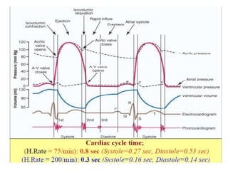 cardiac cycle PDF Systole and diastole | PDF