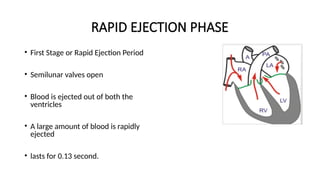 Comprehensive Overview of the Cardiac Cycle and Heart Function | PPTX