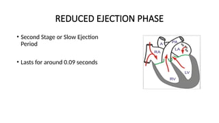 Comprehensive Overview of the Cardiac Cycle and Heart Function | PPTX
