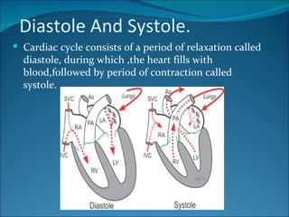 Diastole And Systole.
 Cardiac cycle consists of a period of relaxation called
  diastole, during which ,the heart fills with
  blood,followed by period of contraction called
  systole.
 