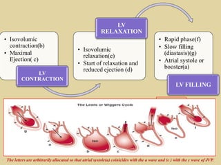 LV
RELAXATION
• Isovolumic
contraction(b)
• Maximal
Ejection( c)
LV
CONTRACTION

• Isovolumic
relaxation(e)
• Start of relaxation and
reduced ejection (d)

• Rapid phase(f)
• Slow filling
(diastasis)(g)
• Atrial systole or
booster(a)
LV FILLING

• The letters are arbitrarily allocated so that atrial systole(a) coinicides with the a wave and (c ) with the c wave of JVP.

 