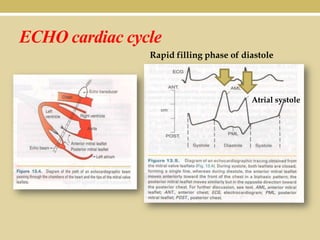 ECHO cardiac cycle
Rapid filling phase of diastole

Atrial systole

 
