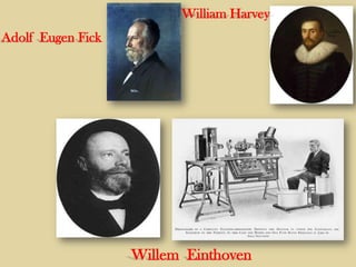 William Harvey
Adolf Eugen Fick

Willem Einthoven

 