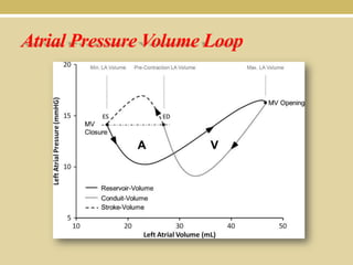 Atrial Pressure Volume Loop

 