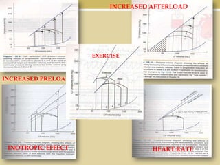 INCREASED AFTERLOAD

EXERCISE

INCREASED PRELOAD

INOTROPIC EFFECT

HEART RATE

 