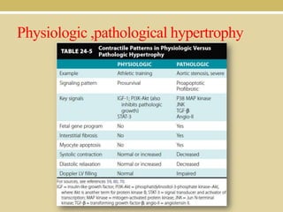 Physiologic ,pathological hypertrophy

 