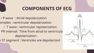 Cardiac cycle and ECG physiology ppt.pptx