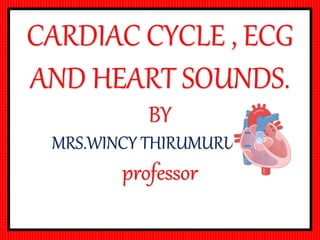 CARDIAC CYCLE , ECG
AND HEART SOUNDS.
BY
MRS.WINCY THIRUMURUGAN
professor
 
