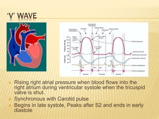 ‘V’ WAVE
 Rising right atrial pressure when blood flows into the
right atrium during ventricular systole when the tricuspid
valve is shut.
 Synchronous with Carotid pulse
 Begins in late systole, Peaks after S2 and ends in early
diastole
 