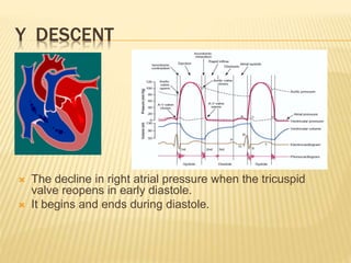  The decline in right atrial pressure when the tricuspid
valve reopens in early diastole.
 It begins and ends during diastole.
Y DESCENT
 