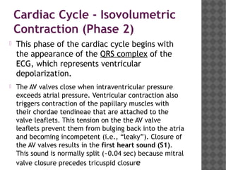 Cardiac Cycle - Isovolumetric
Contraction (Phase 2)
 This phase of the cardiac cycle begins with
the appearance of the QRS complex of the
ECG, which represents ventricular
depolarization.
 The AV valves close when intraventricular pressure
exceeds atrial pressure. Ventricular contraction also
triggers contraction of the papillary muscles with
their chordae tendineae that are attached to the
valve leaflets. This tension on the the AV valve
leaflets prevent them from bulging back into the atria
and becoming incompetent (i.e., “leaky”). Closure of
the AV valves results in the first heart sound (S1).
This sound is normally split (~0.04 sec) because mitral
valve closure precedes tricuspid closure
 