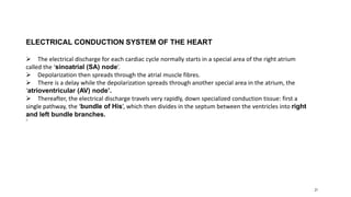 21
ELECTRICAL CONDUCTION SYSTEM OF THE HEART
 The electrical discharge for each cardiac cycle normally starts in a special area of the right atrium
called the ‘sinoatrial (SA) node’.
 Depolarization then spreads through the atrial muscle fibres.
 There is a delay while the depolarization spreads through another special area in the atrium, the
‘atrioventricular (AV) node’.
 Thereafter, the electrical discharge travels very rapidly, down specialized conduction tissue: first a
single pathway, the ‘bundle of His’, which then divides in the septum between the ventricles into right
and left bundle branches.
8
 