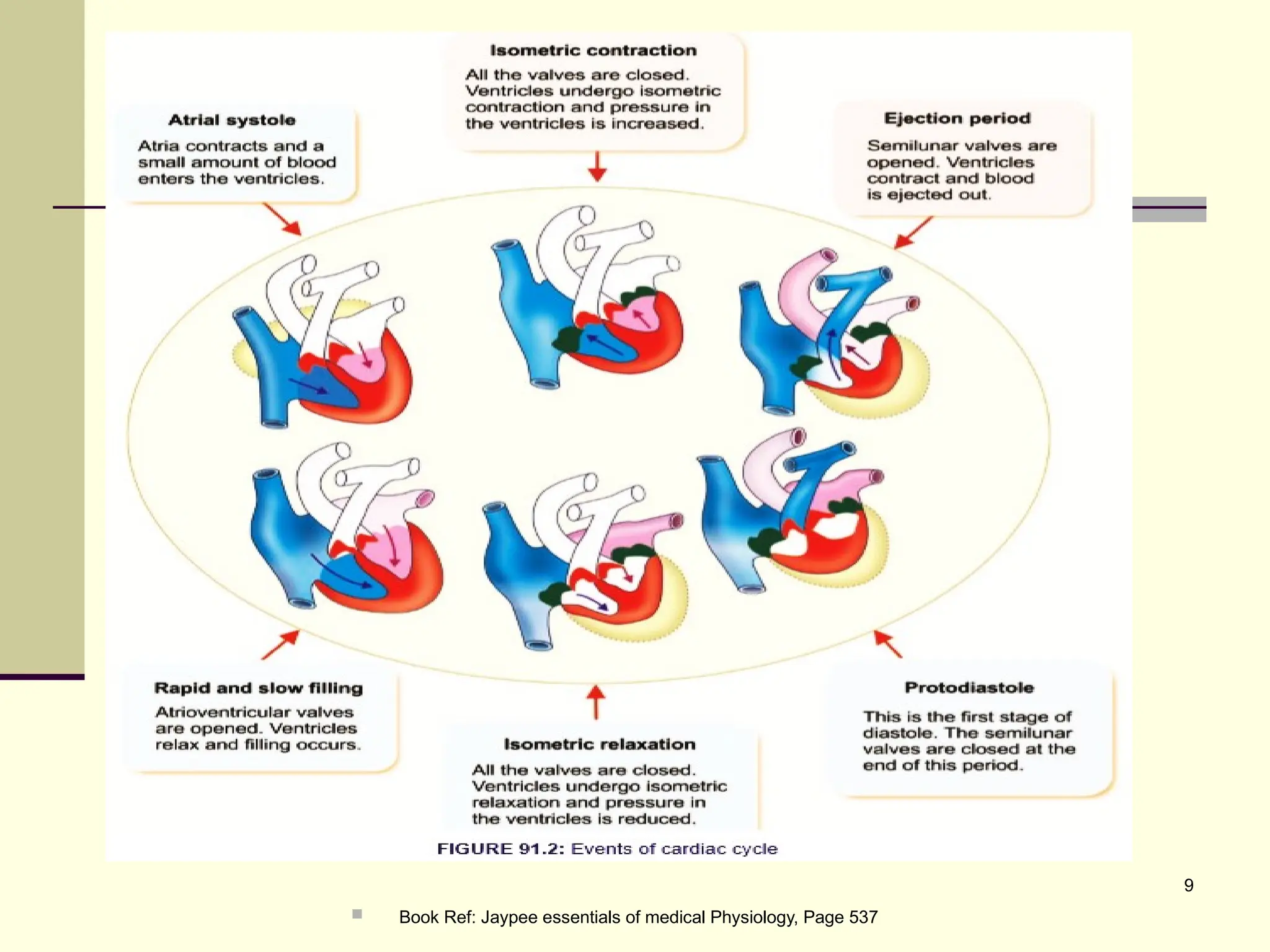 Cardiac Cycle Heart Sounds Cardiac Murmur Physiology Pptx Pptx