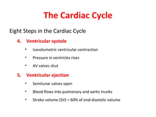 The Cardiac Cycle
Eight Steps in the Cardiac Cycle
4. Ventricular systole
•

Isovolumetric ventricular contraction

•

Pressure in ventricles rises

•

AV valves shut

5. Ventricular ejection
•

Semilunar valves open

•

Blood flows into pulmonary and aortic trunks

•

Stroke volume (SV) = 60% of end-diastolic volume

 