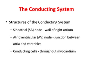 The Conducting System
• Structures of the Conducting System
– Sinoatrial (SA) node - wall of right atrium
– Atrioventricular (AV) node - junction between
atria and ventricles
– Conducting cells - throughout myocardium

 