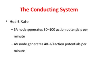 The Conducting System
• Heart Rate
– SA node generates 80–100 action potentials per
minute
– AV node generates 40–60 action potentials per
minute

 