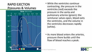 RAPID EJECTION
Pressures & Volumes
• While the ventricles continue
contracting, the pressure in the
ventricles (red) exceeds the
pressure in the aorta and
pulmonary arteries (green); the
semilunar valves open, blood exits
the ventricles, and the volume in
the ventricles decreases rapidly
(white).
• As more blood enters the arteries,
pressure there builds until the
flow of blood reaches a peak.
Cardiac Cycle| Prof. Dr. Rashid Mahmood 16
 