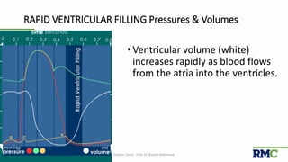 RAPID VENTRICULAR FILLING Pressures & Volumes
•Ventricular volume (white)
increases rapidly as blood flows
from the atria into the ventricles.
Cardiac Cycle| Prof. Dr. Rashid Mahmood 26
 