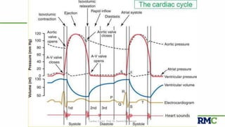 Cardiac Cycle| Prof. Dr. Rashid Mahmood 39
 
