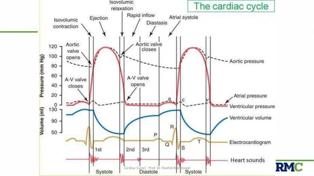 Cardiac cycle | PPTX | Heart and Cardiovascular Diseases | Diseases and ...