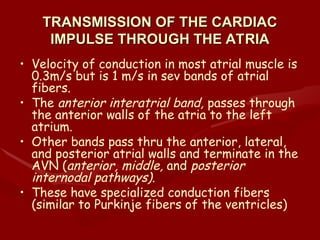 Student notes on cardiac cycle very important (1).ppt