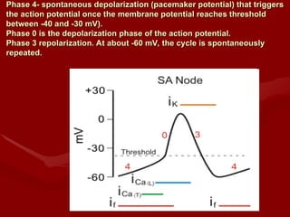 Student notes on cardiac cycle very important (1).ppt