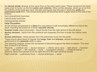  the dorsal aortae develop at the same time as the early heart tubes. These connect to the heart
tubes prior to fusion via the first aortic arch arteries. Other arches develop, which go on to form
the arteries of the head and neck. We also previously saw the way in which the aorta and
pulmonary trunk form. The dorsal aorta gives off branches which supply blood to the rest of the
embryo:
 Gut (ventral/front) branches
 Lateral (side) branches
 Intersegmental arteries
 Fetal Circulation
 As the embryo progresses to a fetus the vasculature is still remarkably different to that of the
adult, including the presence of three vascular shunts:
 foramen ovale (seen previously) - blood travels from the right atrium to the left atrium
 ductus venosus - blood from the umbilical vein bypasses the liver to enter the inferior vena
cava
 ductus arteriosus - blood passes from the pulmonary trunk into the aorta
 These shunts allow blood to bypass the lungs, liver and kidneys, whose functions are
performed by the placenta while in utero.
 The following diagram shows the movement of blood throughout the fetal circulation. The main
flow of blood is as follows:
 Placenta → umbilical vein → ductus venosus → inferior vena cava → right atrium → foramen
ovale → left atrium → left ventricle → aorta → hypogastric arteries → umbilical arteries →
placenta. Blood that passes from the right atrium to the right ventricle travels:
 Right ventricle → pulmonary trunk → ductus arteriosus → aorta
 