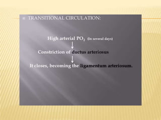 Cardiac development & fetal  circulation (2)
