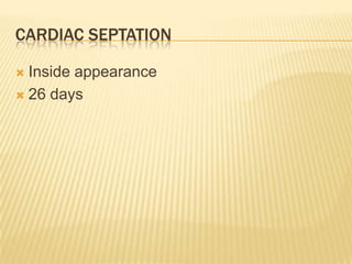 CARDIAC SEPTATION
 Inside appearance
 26 days
 