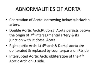 ABNORMALITIES OF AORTA
• Coarctation of Aorta: narrowing below subclavian
artery.
• Double Aortic Arch:Rt dorsal Aorta persists betwn
the origin of 7th intersegmental artery & its
junction with Lt dorsal Aorta
• Right aortic Arch: Lt 4th arch& Dorsal aorta are
obliterated & replaced by counterparts on Rtside
• Interrupted Aortic Arch: obliteration of the 4th
Aortic Arch on Lt side.
 
