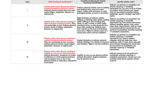 Cardiac Disease in Pregnancy 14.03.2025.pptx