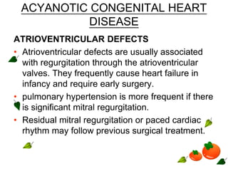 ACYANOTIC CONGENITAL HEART
DISEASE
ATRIOVENTRICULAR DEFECTS
• Atrioventricular defects are usually associated
with regurgitation through the atrioventricular
valves. They frequently cause heart failure in
infancy and require early surgery.
• pulmonary hypertension is more frequent if there
is significant mitral regurgitation.
• Residual mitral regurgitation or paced cardiac
rhythm may follow previous surgical treatment.
 