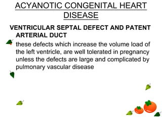 ACYANOTIC CONGENITAL HEART
DISEASE
VENTRICULAR SEPTAL DEFECT AND PATENT
ARTERIAL DUCT
• these defects which increase the volume load of
the left ventricle, are well tolerated in pregnancy
unless the defects are large and complicated by
pulmonary vascular disease
 