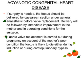 ACYANOTIC CONGENITAL HEART
DISEASE
• If surgery is needed, the foetus should be
delivered by caesarean section under general
anaesthetic before valve replacement. Delivery will
be followed by immediate improvement in the
mother and in operating conditions for the
surgeon.
• If aortic valve replacement is carried out during
pregnancy on account of the mother’s poor
condition the foetus is likely to die either during
induction or during cardiopulmonary bypass.
 