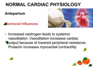 NORMAL CARDIAC PHYSIOLOGY
Antepartum
Hormonal Influences
• Increased oestrogen leads to systemic
vasodilation. Vasodilation increases cardiac
output because of lowered peripheral resistance.
Prolactin increases myocardial contractility
 