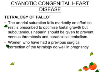 CYANOTIC CONGENITAL HEART
DISEASE
TETRALOGY OF FALLOT
• The arterial saturation falls markedly on effort so
rest is prescribed to optimize foetal growth but
subcutaneous heparin should be given to prevent
venous thrombosis and paradoxical embolism.
• Women who have had a previous surgical
correction of the tetralogy do well in pregnancy
 