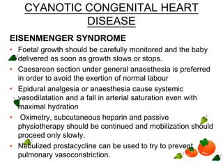 CYANOTIC CONGENITAL HEART
DISEASE
EISENMENGER SYNDROME
• Foetal growth should be carefully monitored and the baby
delivered as soon as growth slows or stops.
• Caesarean section under general anaesthesia is preferred
in order to avoid the exertion of normal labour
• Epidural analgesia or anaesthesia cause systemic
vasodilatation and a fall in arterial saturation even with
maximal hydration
• Oximetry, subcutaneous heparin and passive
physiotherapy should be continued and mobilization should
proceed only slowly.
• Nebulized prostacycline can be used to try to prevent
pulmonary vasoconstriction.
 