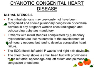 CYANOTIC CONGENITAL HEART
DISEASE
MITRAL STENOSIS
• The mitral stenosis may previously not have been
recognized and should pulmonary congestion or oedema
develop in any pregnant woman chest radiograph and
echocardiography are mandatory.
• Patients with mitral stenosis complicated by pulmonary
hypertension are less vulnerable to the development of
pulmonary oedema but tend to develop congestive heart
failure.
• The ECG shows left atrial P waves and right axis deviation.
• The chest X-ray shows a small heart but with prominence
of the left atrial appendage and left atrium and pulmonary
congestion or oedema.
 