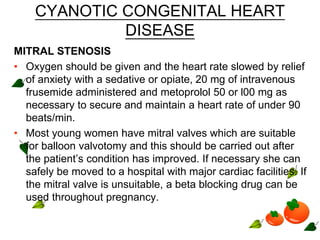 CYANOTIC CONGENITAL HEART
DISEASE
MITRAL STENOSIS
• Oxygen should be given and the heart rate slowed by relief
of anxiety with a sedative or opiate, 20 mg of intravenous
frusemide administered and metoprolol 50 or l00 mg as
necessary to secure and maintain a heart rate of under 90
beats/min.
• Most young women have mitral valves which are suitable
for balloon valvotomy and this should be carried out after
the patient’s condition has improved. If necessary she can
safely be moved to a hospital with major cardiac facilities. If
the mitral valve is unsuitable, a beta blocking drug can be
used throughout pregnancy.
 