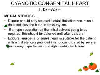 CYANOTIC CONGENITAL HEART
DISEASE
MITRAL STENOSIS
• Digoxin should only be used if atrial fibrillation occurs as it
does not slow the heart in sinus rhythm.
• If an open operation on the mitral valve is going to be
required, this should be deferred until after delivery
• Epidural analgesia or anaesthesia is suitable for the patient
with mitral stenosis provided it is not complicated by severe
pulmonary hypertension and right ventricular failure.
 
