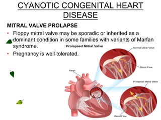 CYANOTIC CONGENITAL HEART
DISEASE
MITRAL VALVE PROLAPSE
• Floppy mitral valve may be sporadic or inherited as a
dominant condition in some families with variants of Marfan
syndrome.
• Pregnancy is well tolerated.
 