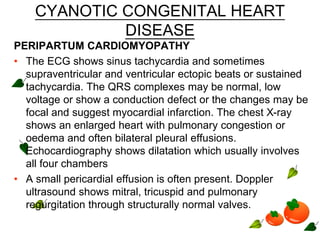 CYANOTIC CONGENITAL HEART
DISEASE
PERIPARTUM CARDIOMYOPATHY
• The ECG shows sinus tachycardia and sometimes
supraventricular and ventricular ectopic beats or sustained
tachycardia. The QRS complexes may be normal, low
voltage or show a conduction defect or the changes may be
focal and suggest myocardial infarction. The chest X-ray
shows an enlarged heart with pulmonary congestion or
oedema and often bilateral pleural effusions.
Echocardiography shows dilatation which usually involves
all four chambers
• A small pericardial effusion is often present. Doppler
ultrasound shows mitral, tricuspid and pulmonary
regurgitation through structurally normal valves.
 