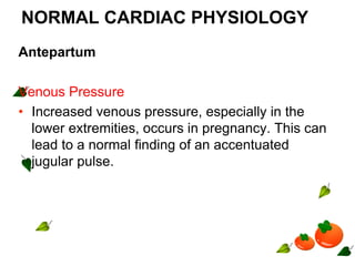 NORMAL CARDIAC PHYSIOLOGY
Antepartum
Venous Pressure
• Increased venous pressure, especially in the
lower extremities, occurs in pregnancy. This can
lead to a normal finding of an accentuated
jugular pulse.
 