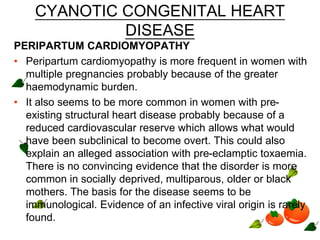 CYANOTIC CONGENITAL HEART
DISEASE
PERIPARTUM CARDIOMYOPATHY
• Peripartum cardiomyopathy is more frequent in women with
multiple pregnancies probably because of the greater
haemodynamic burden.
• It also seems to be more common in women with pre-
existing structural heart disease probably because of a
reduced cardiovascular reserve which allows what would
have been subclinical to become overt. This could also
explain an alleged association with pre-eclamptic toxaemia.
There is no convincing evidence that the disorder is more
common in socially deprived, multiparous, older or black
mothers. The basis for the disease seems to be
immunological. Evidence of an infective viral origin is rarely
found.
 