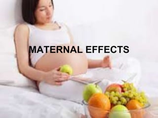 MATERNAL EFFECTS
 