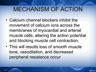 MECHANISM OF ACTION
• Calcium channel blockers inhibit the
movement of calcium ions across the
membranes of myocardial and arterial
muscle cells, altering the action potential
and blocking muscle cell contraction.
• This will results loss of smooth muscle
tone, vasodilation, and decreased
peripheral resistance occur
 