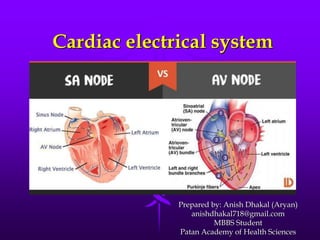 Cardiac electrical system
Prepared by: Anish Dhakal (Aryan)
anishdhakal718@gmail.com
MBBS Student
Patan Academy of Health Sciences
 